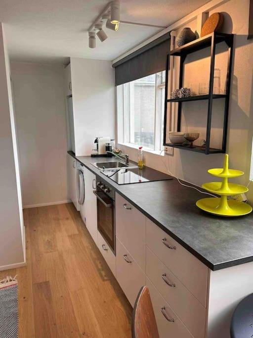 Studio Apartment Reykjavik City Center Екстериор снимка