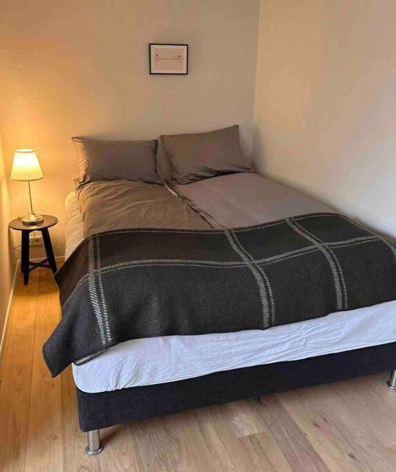 Studio Apartment Reykjavik City Center Екстериор снимка