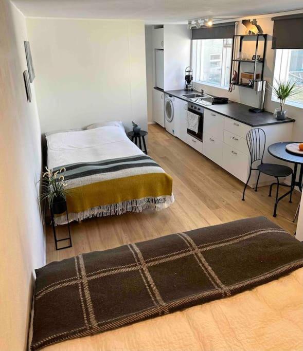 Studio Apartment Reykjavik City Center Екстериор снимка