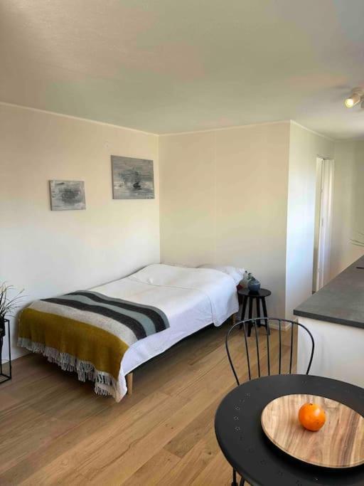 Studio Apartment Reykjavik City Center Екстериор снимка