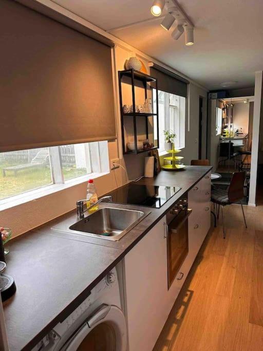 Studio Apartment Reykjavik City Center Екстериор снимка