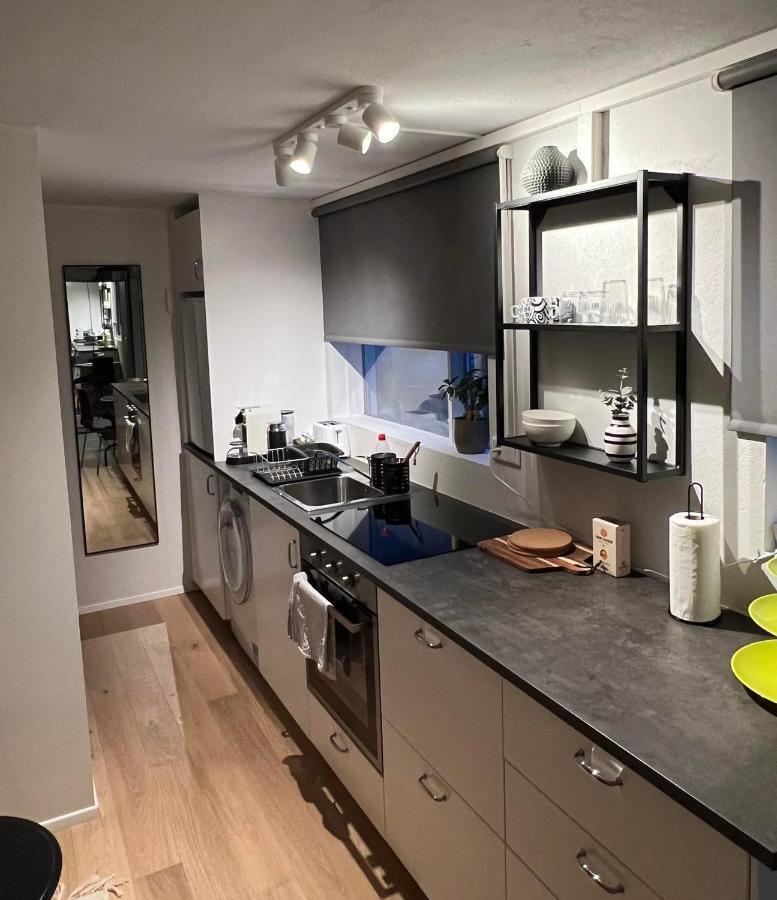 Studio Apartment Reykjavik City Center Екстериор снимка